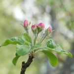 乐虎国际电子游戏:畅享无限乐趣与刺激的在线游戏体验 hz7x9