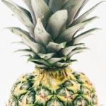 九五至尊2网址:畅享线上娱乐的最佳选择与体验 manyneq