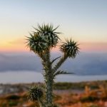 九五至尊网址9599:畅享无限乐趣与精彩活动 t1v4dh9