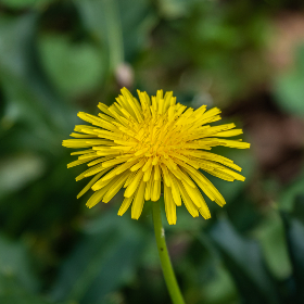 乐虎体育直播NBA:畅享每场比赛的精彩瞬间 乐虎体育直播NBA:畅享每场比赛的精彩瞬间