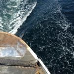 乐通LT118官网:尽享丰富游戏与精彩活动的娱乐平台 upsypw722