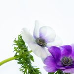 九乐棋牌游戏官网:带你体验真实对战的棋牌娱乐世界 zg74xj